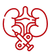 Kidney Surgery